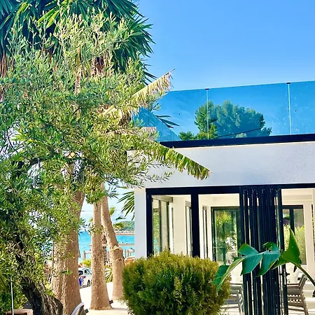 Park Bujari * 卡萨米尔